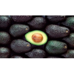 Palta Hass Peruana
