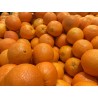 Naranja de Jugo